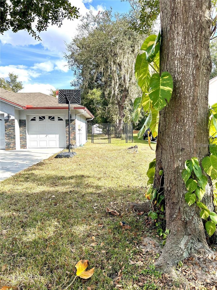 12221 ANNE KENIA DR — photo 56