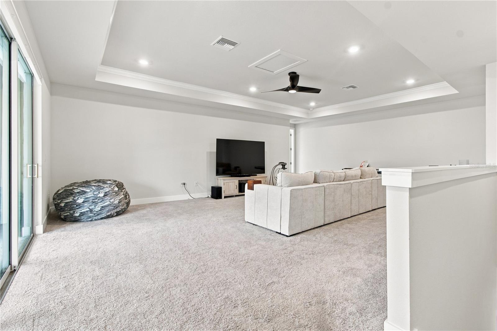 8699 IVY STARK BLVD — photo 53