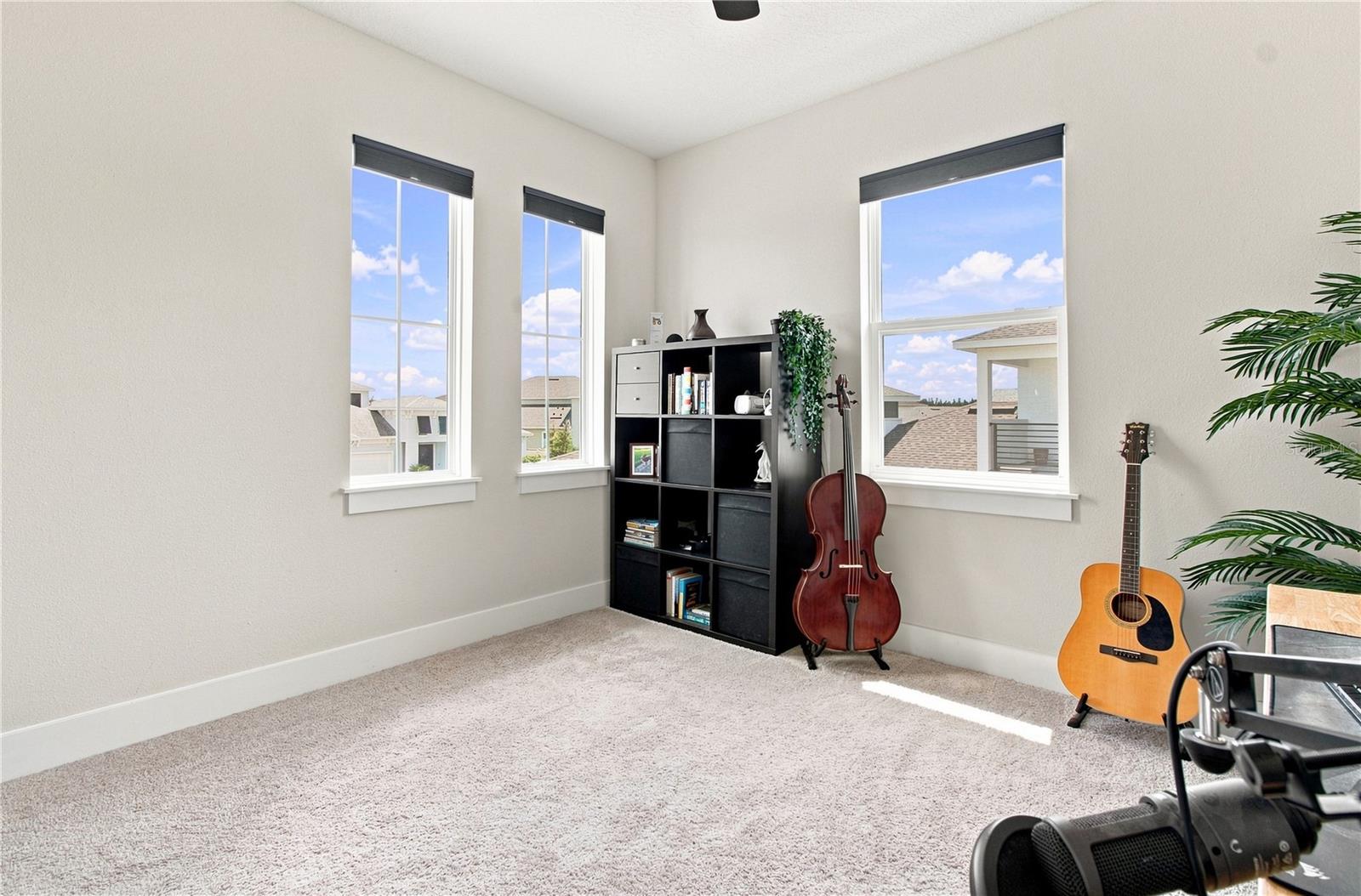 8699 IVY STARK BLVD — photo 63