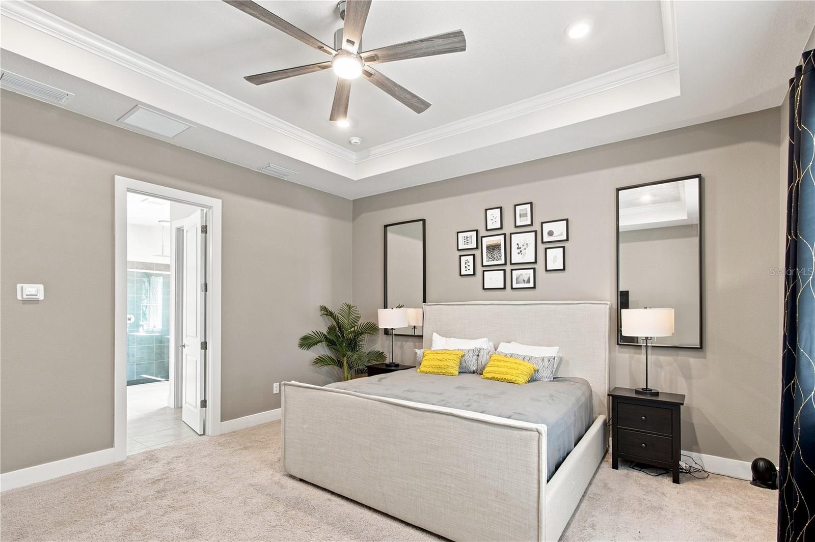 8699 IVY STARK BLVD — photo 43
