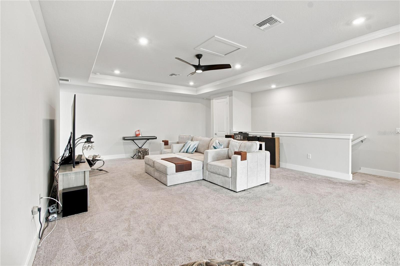 8699 IVY STARK BLVD — photo 54