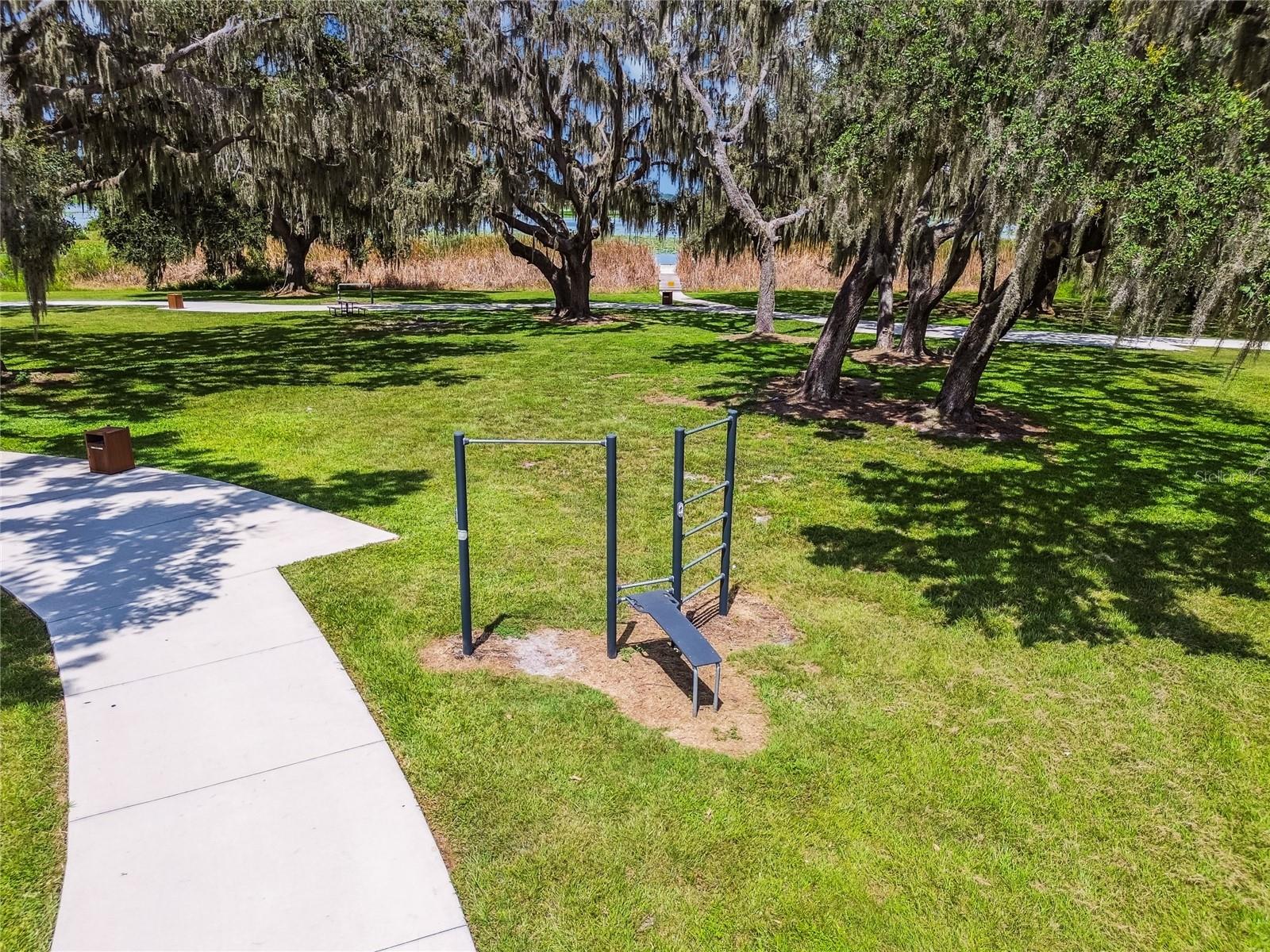 8699 IVY STARK BLVD — photo 98