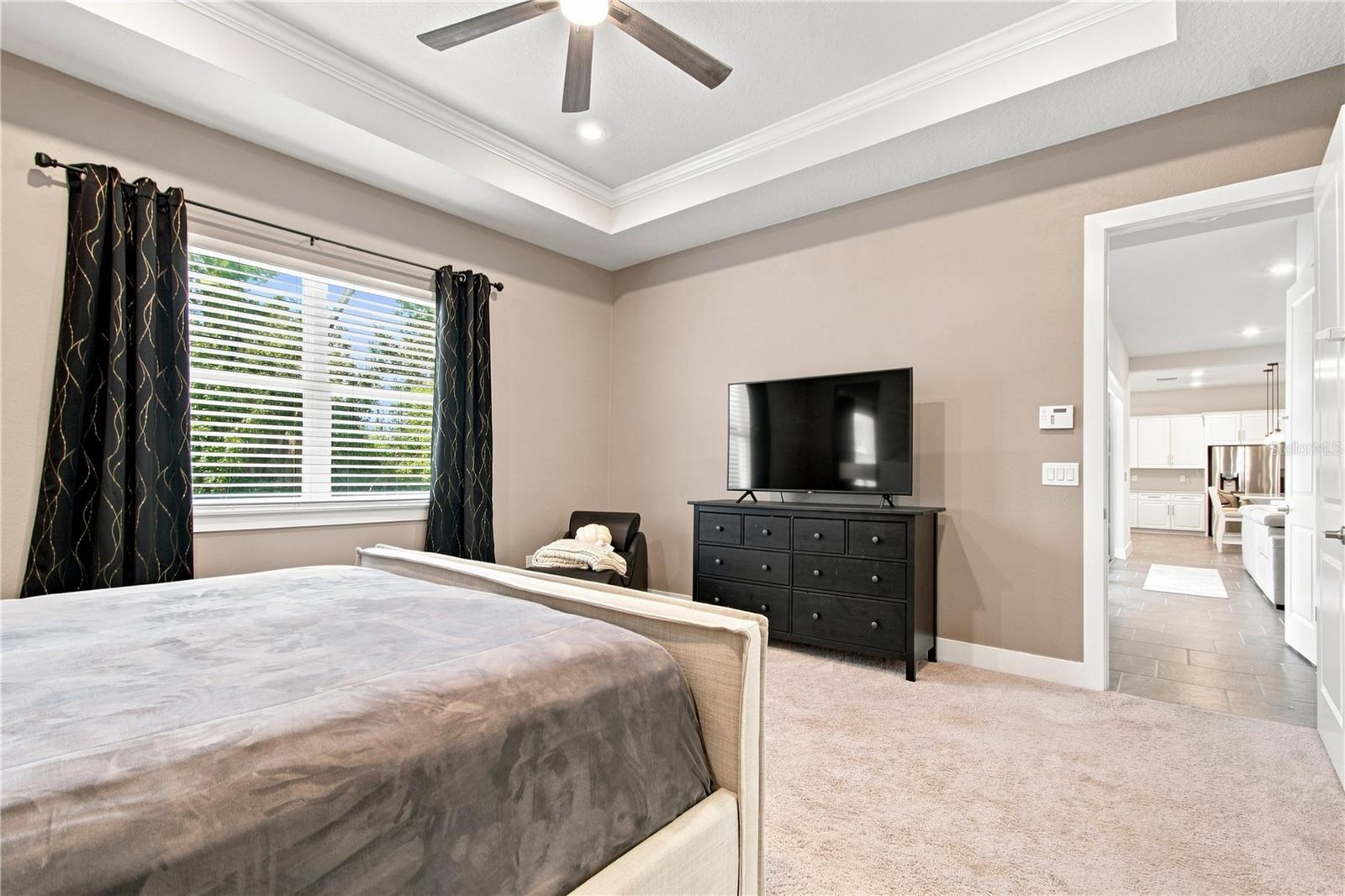 8699 IVY STARK BLVD — photo 44