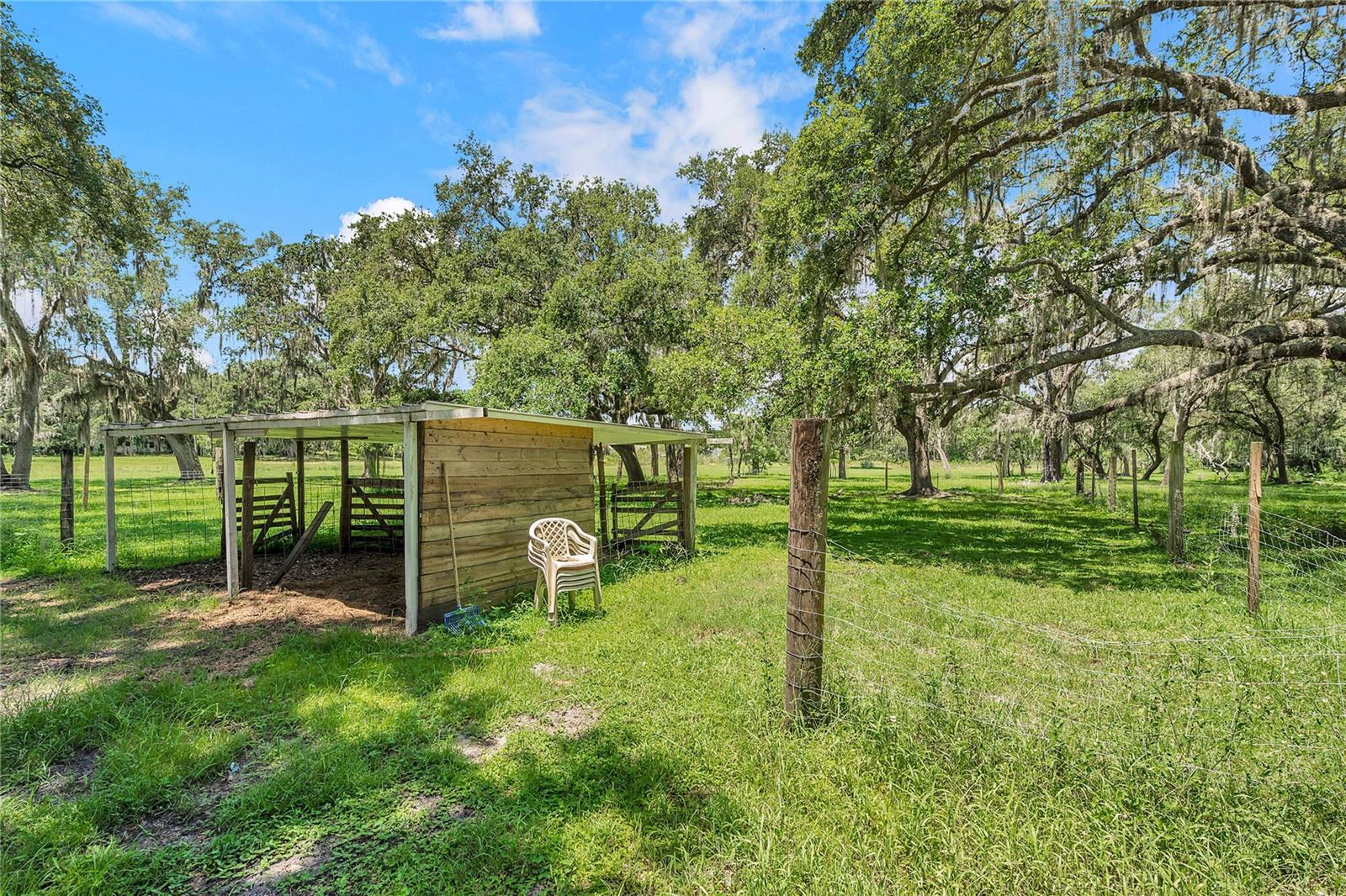 7405 WILLIAMS RD — photo 61