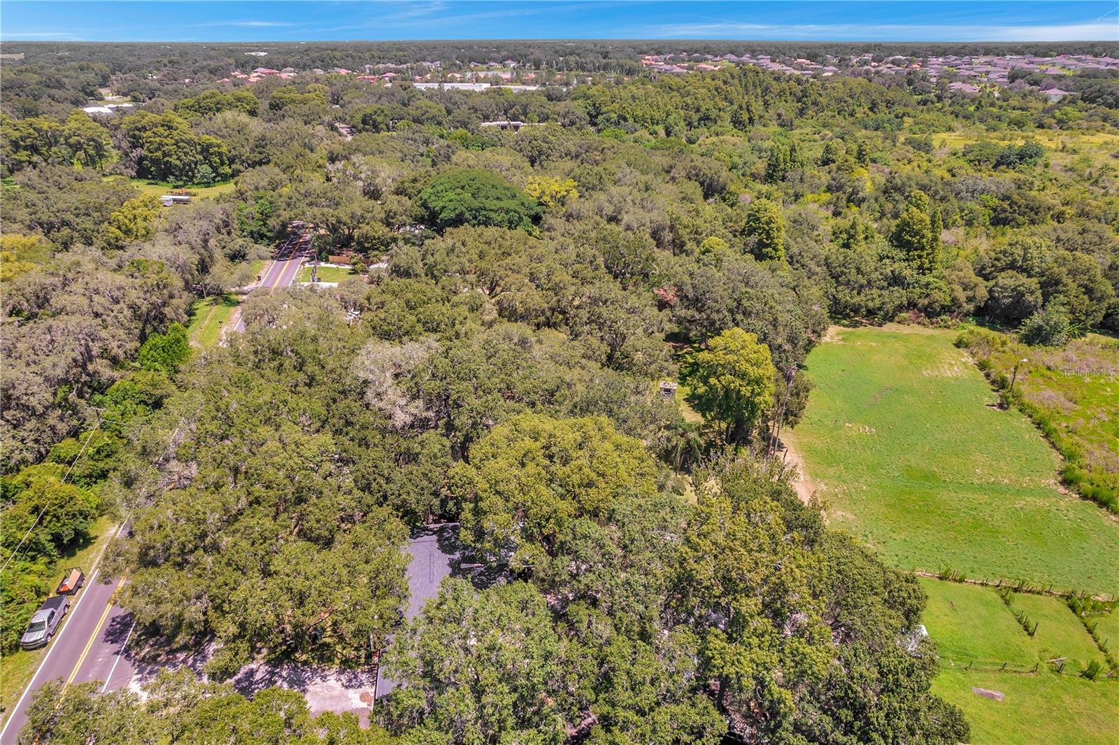 7405 WILLIAMS RD — photo 93