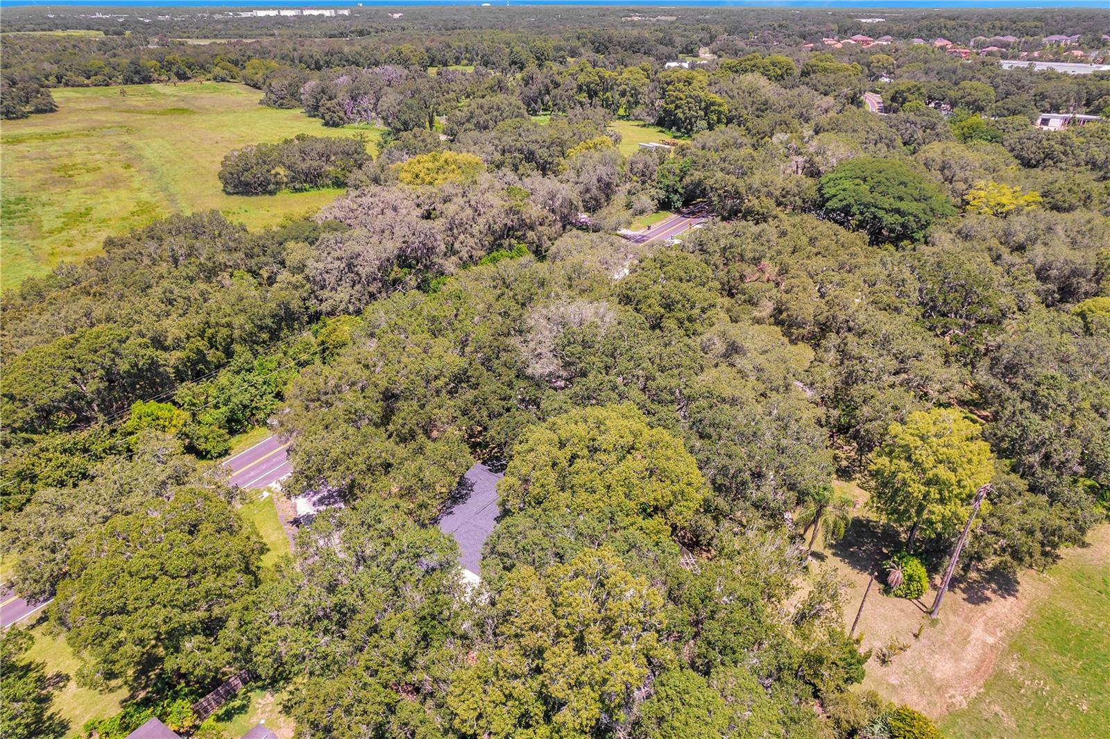 7405 WILLIAMS RD — photo 94
