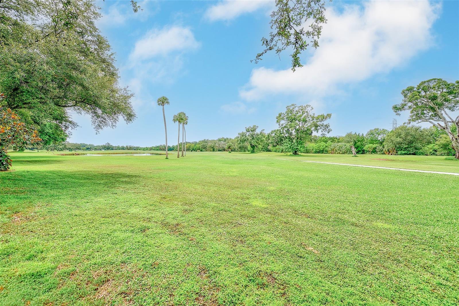 25 COUNTRY CLUB DR — photo 44