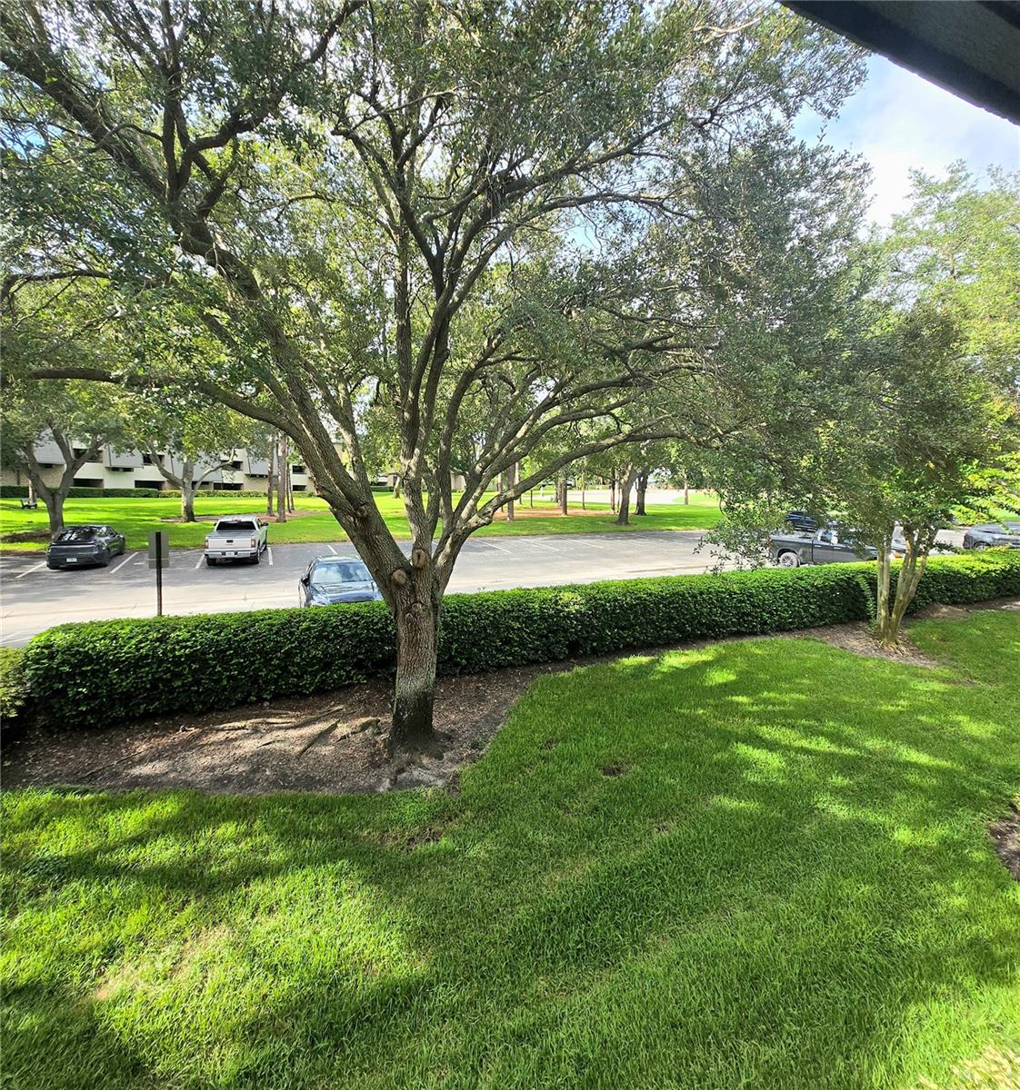 36750 US HIGHWAY 19 N #13-214 — photo 14