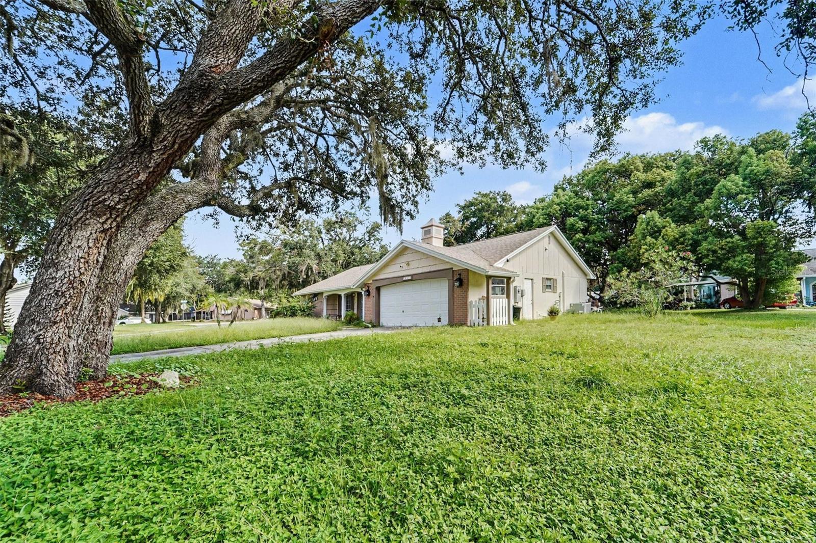 12511 STONE HOUSE LOOP — photo 3
