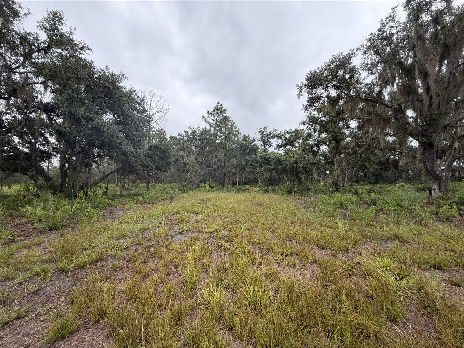 14020 CYPRESS LN — photo 17