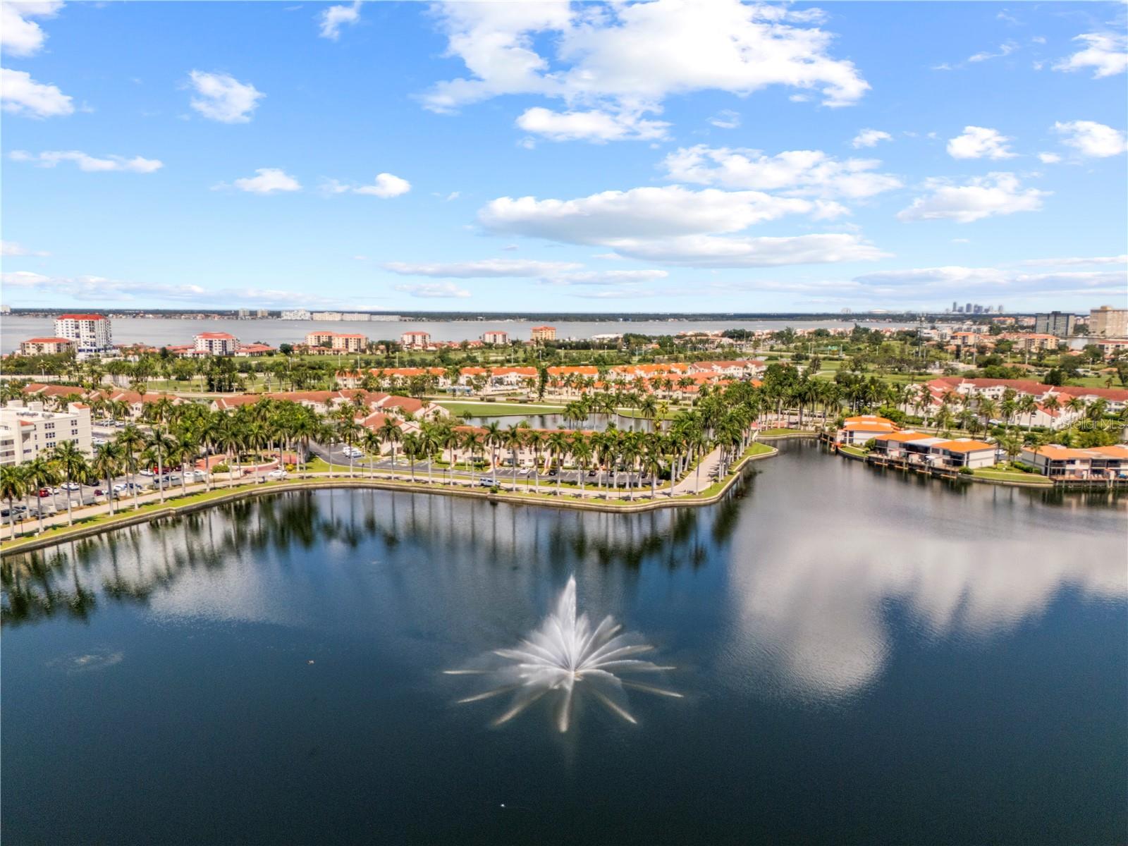 6100 BAHIA DEL MAR CIR #206 — photo 37