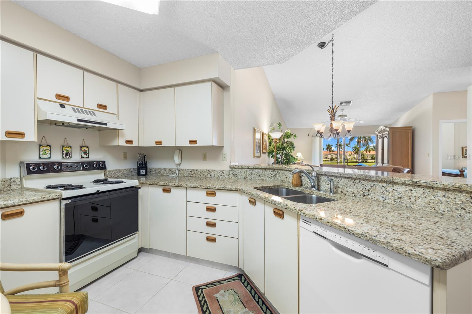 6100 BAHIA DEL MAR CIR #206 — photo 16