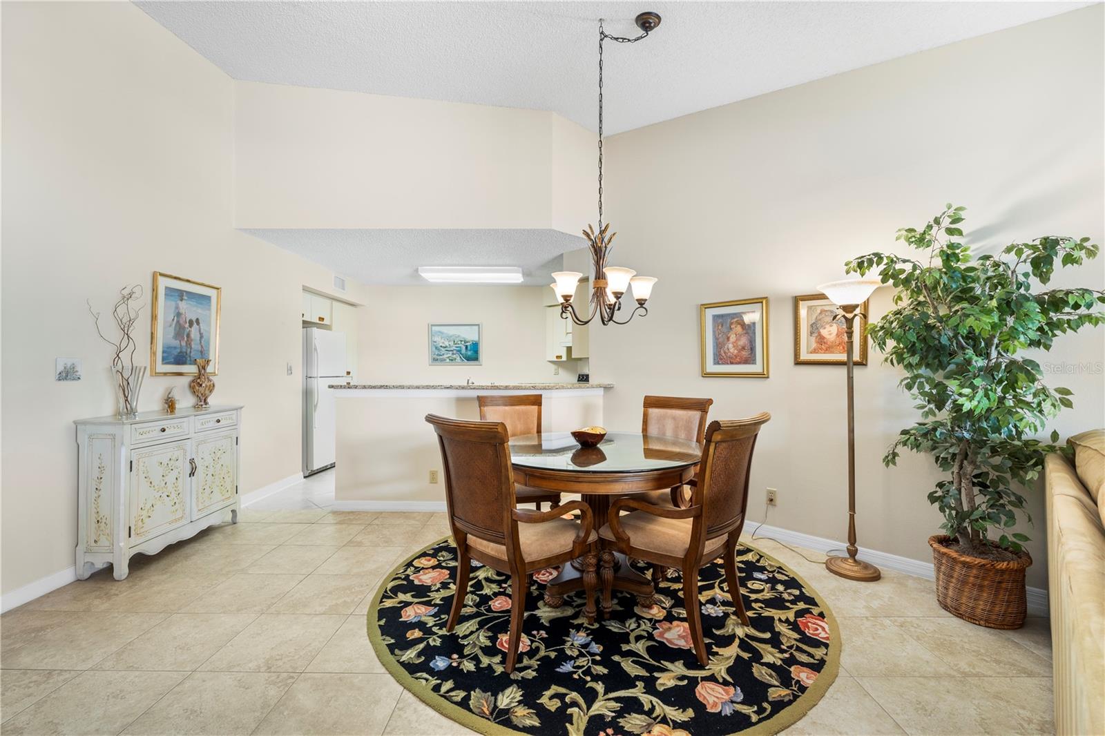 6100 BAHIA DEL MAR CIR #206 — photo 7