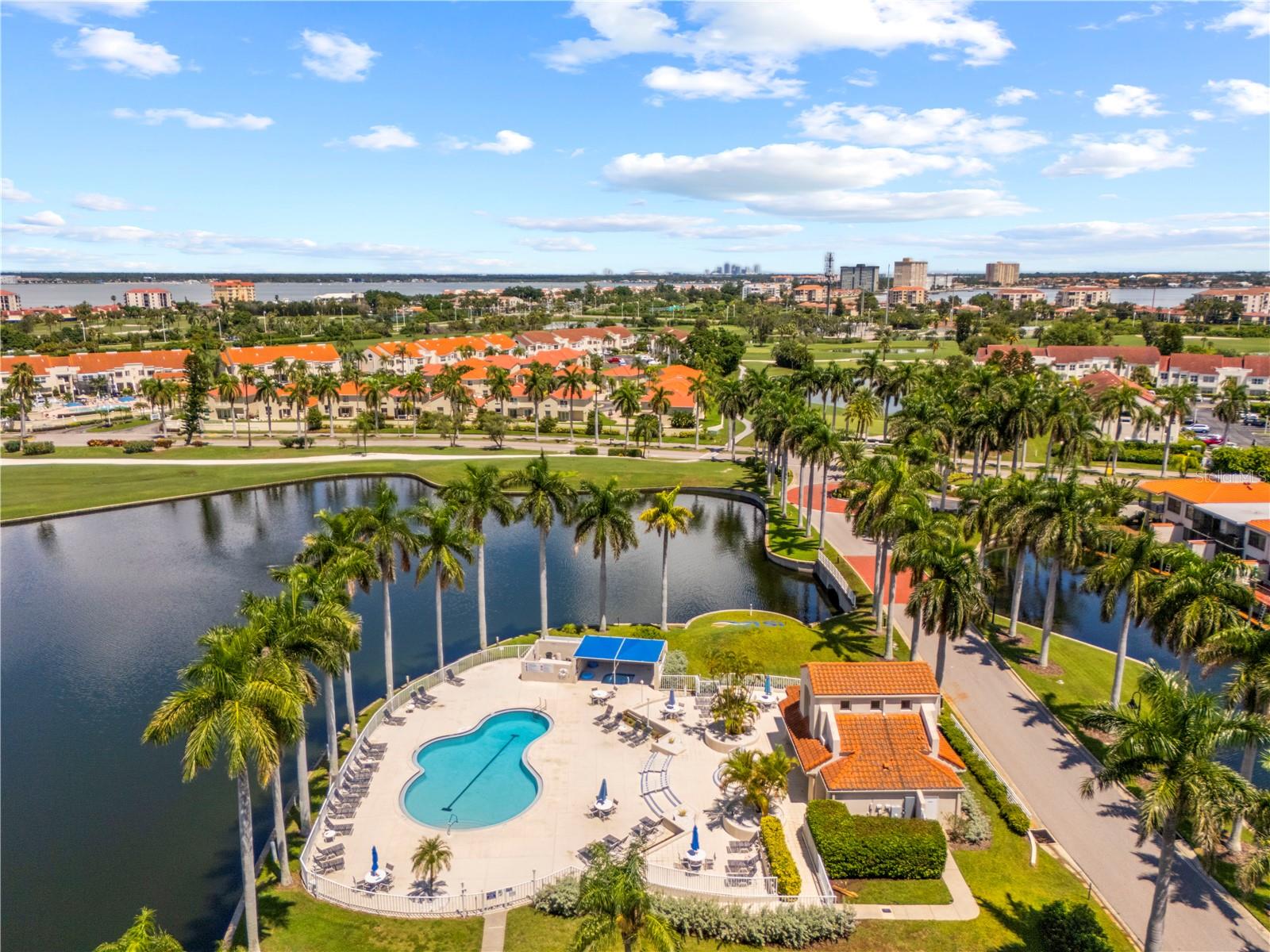 6100 BAHIA DEL MAR CIR #206 — photo 42