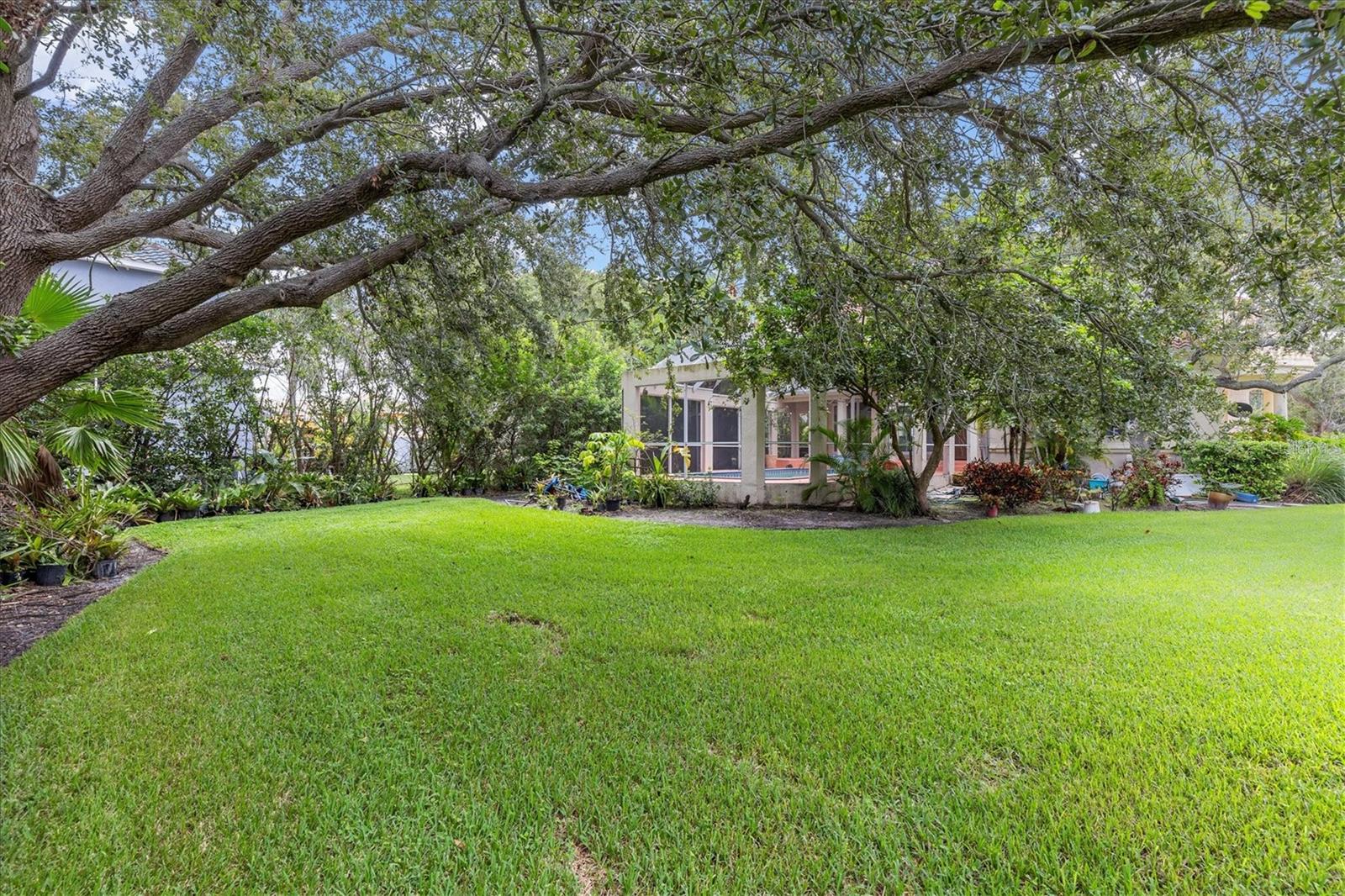 5914 LA ROSA LN — photo 59