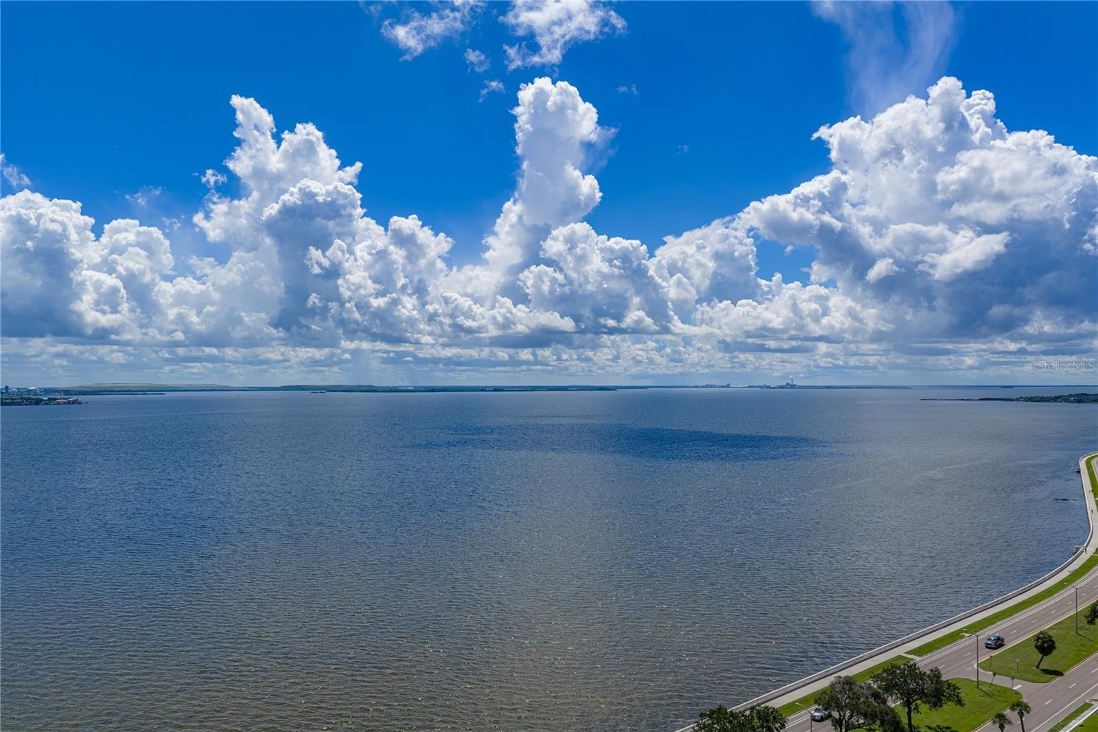 3301 BAYSHORE BLVD #2209A — photo 15