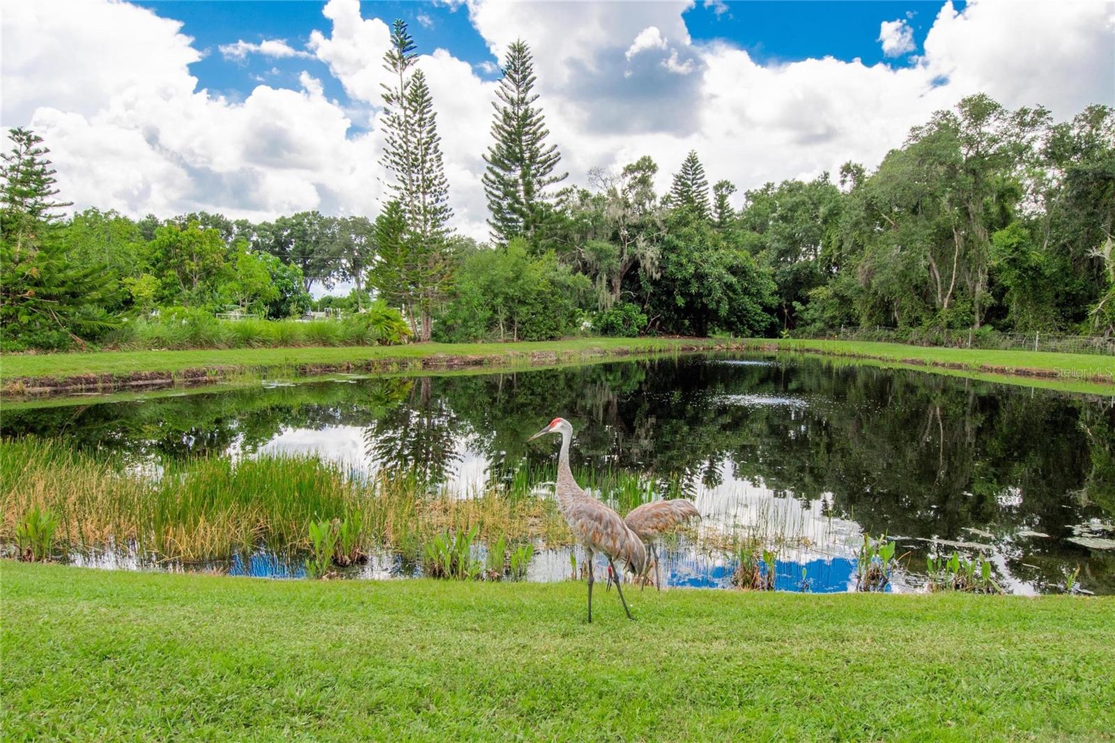 1917 INVERNESS GREENS DR — photo 36