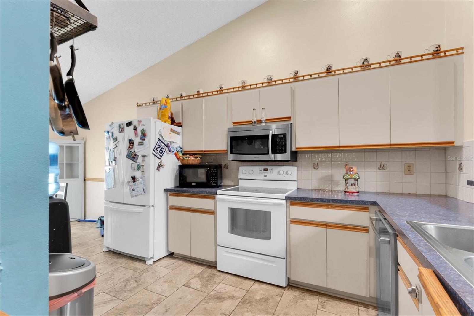 10833 LIVINGSTON DR — photo 10