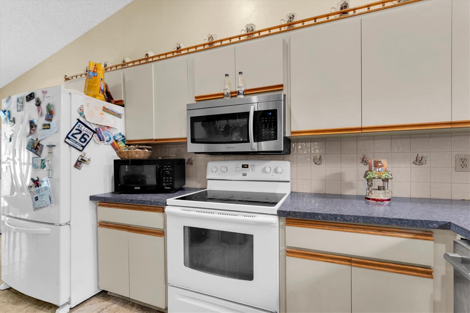 10833 LIVINGSTON DR — photo 16