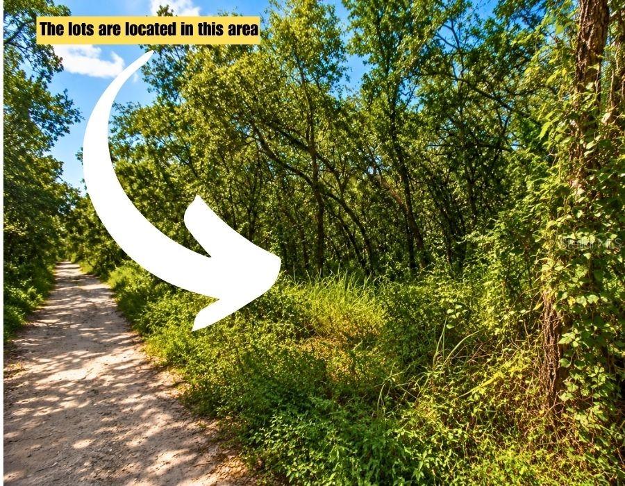 POCO LOOP — photo 2