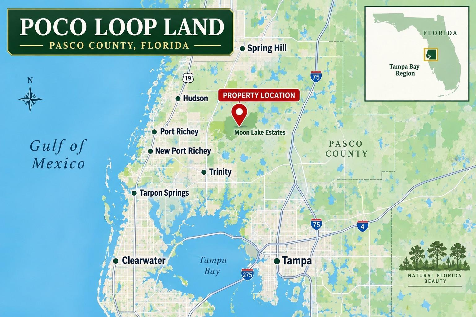 POCO LOOP — photo 16