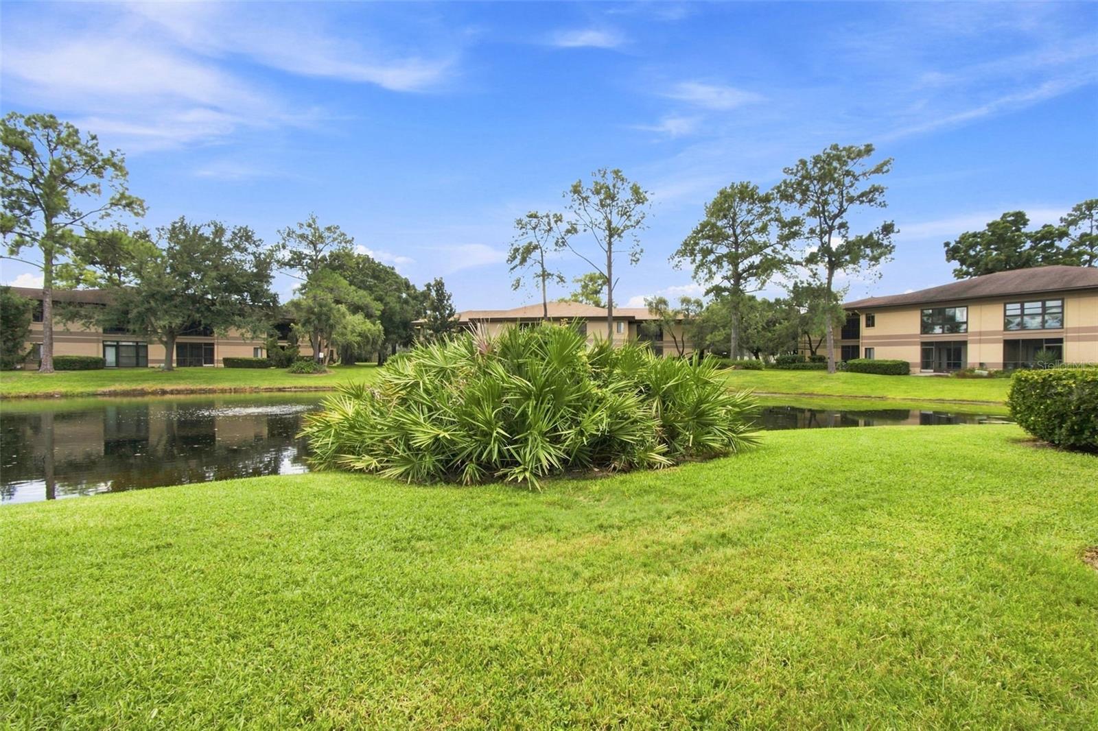 2671 SABAL SPRINGS CIR #103 — photo 48