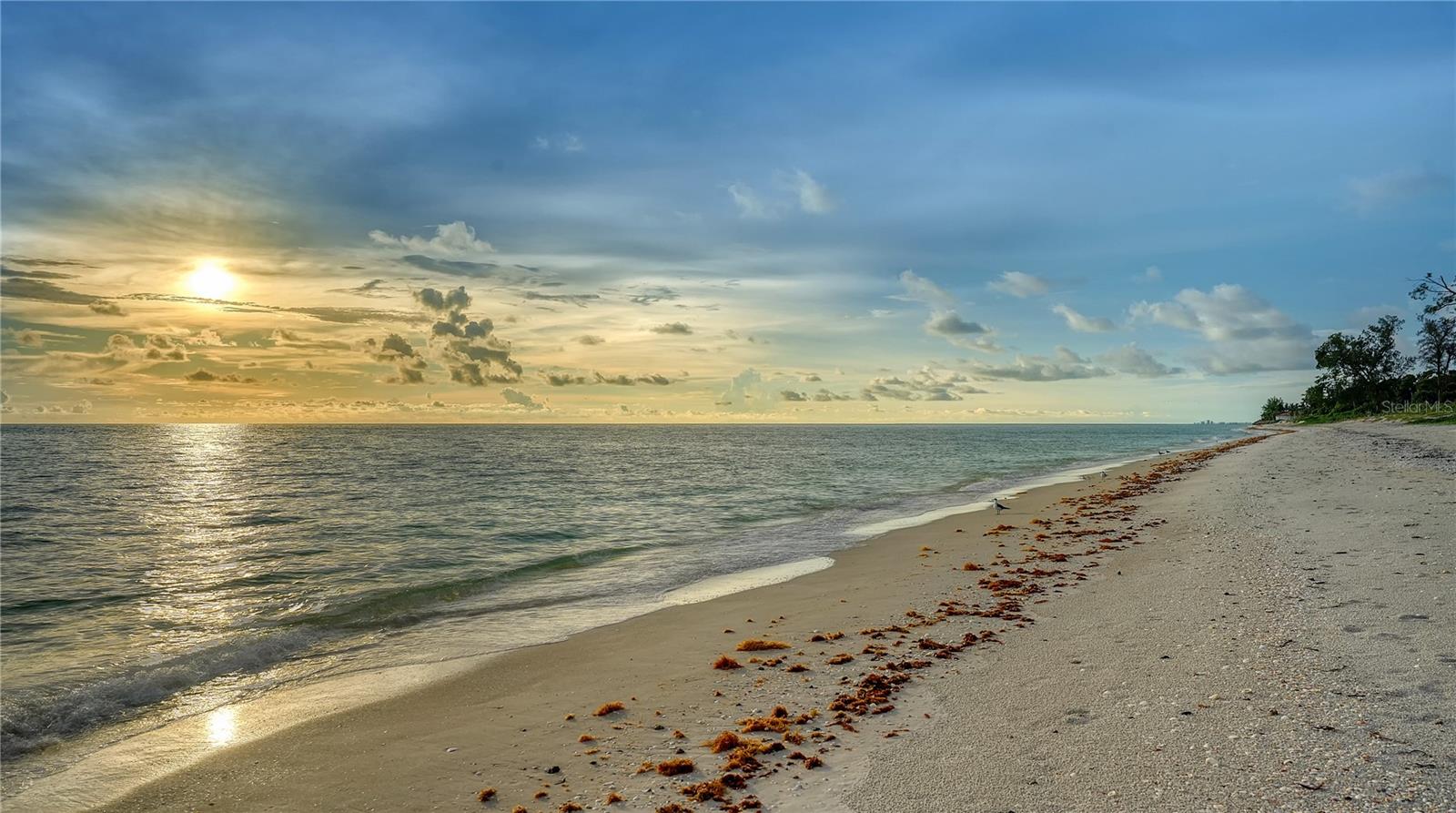 2417 CASEY KEY RD — photo 12