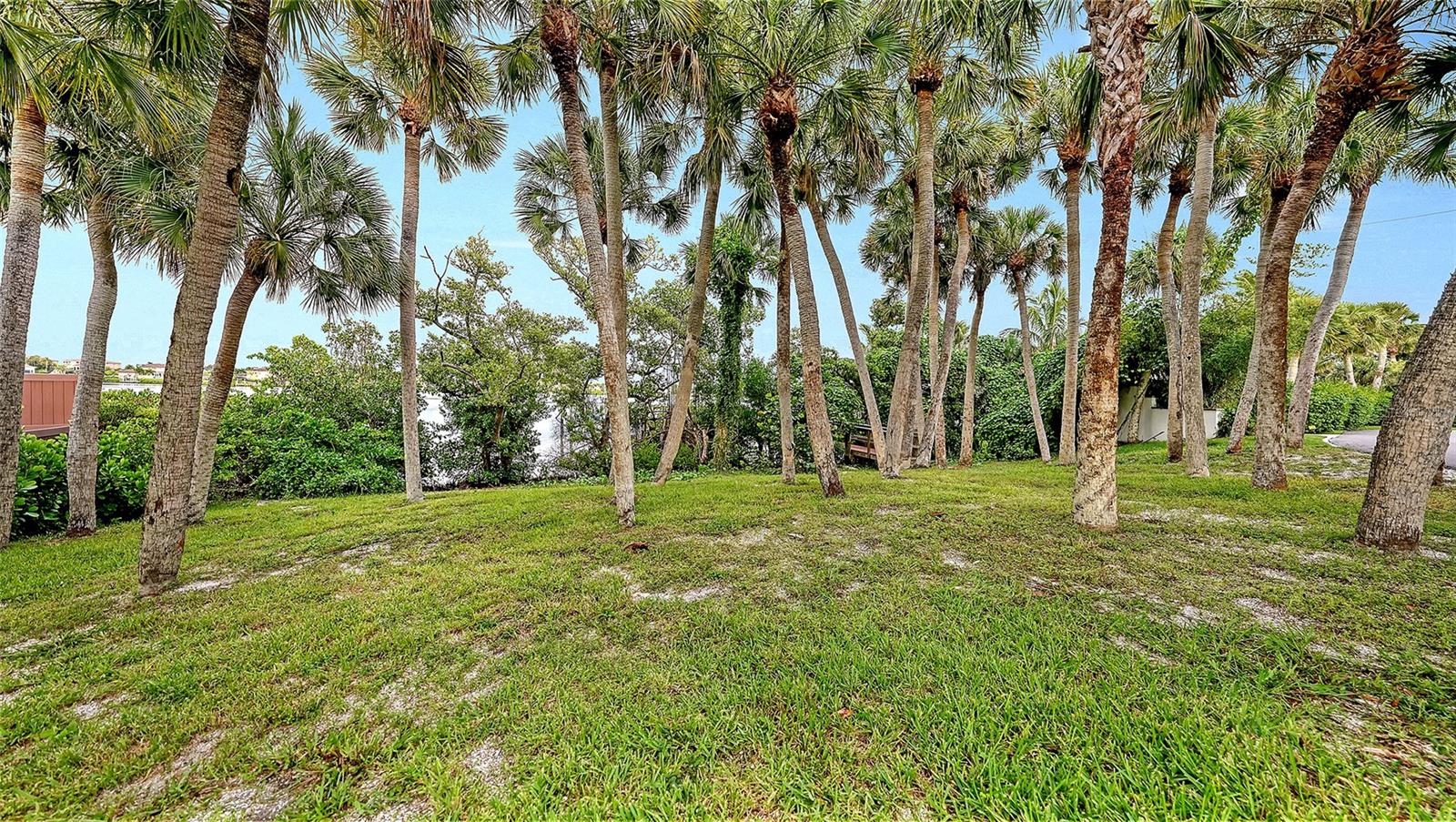 2417 CASEY KEY RD — photo 15