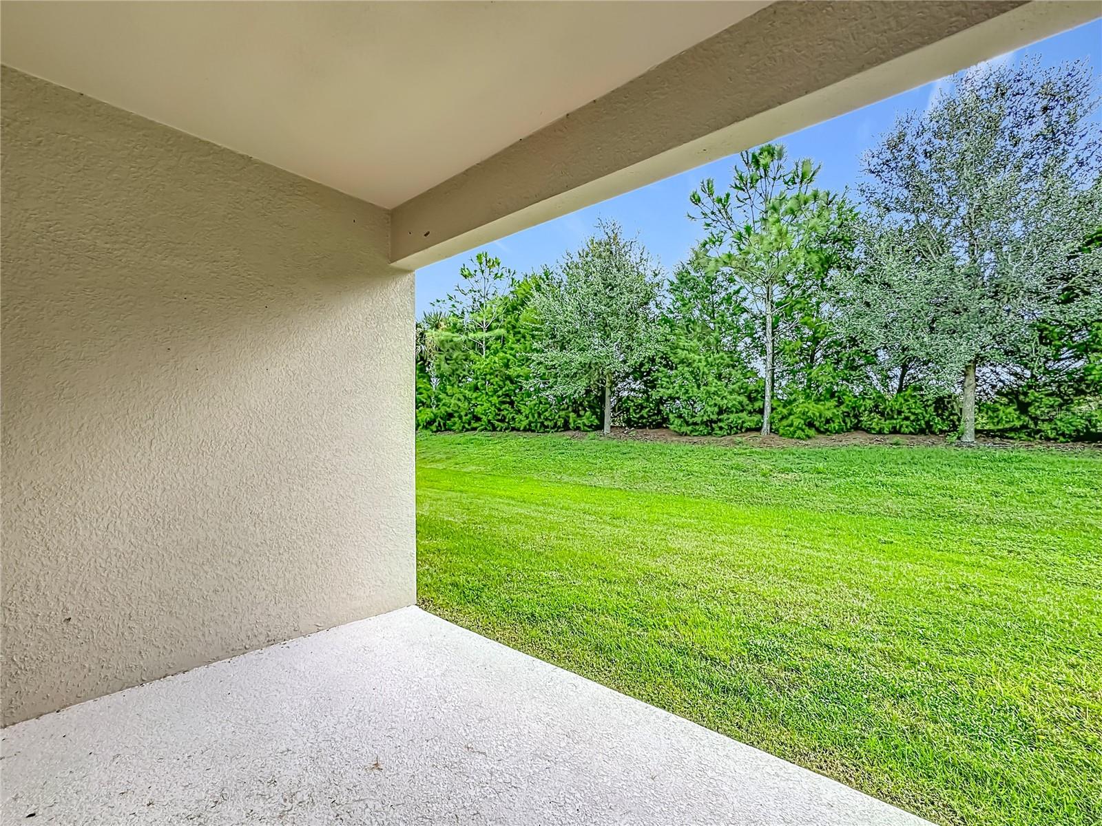 5517 COACHWOOD CV — photo 38
