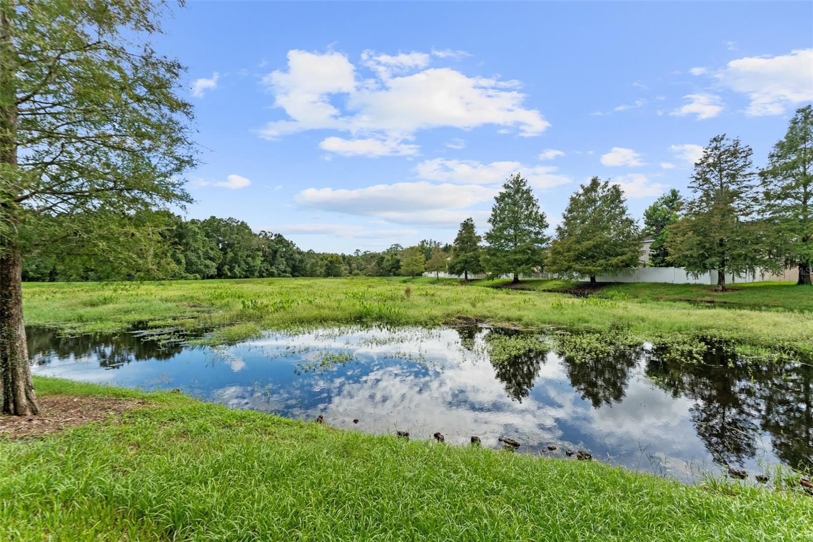 12203 COLONY LAKES BLVD — photo 48