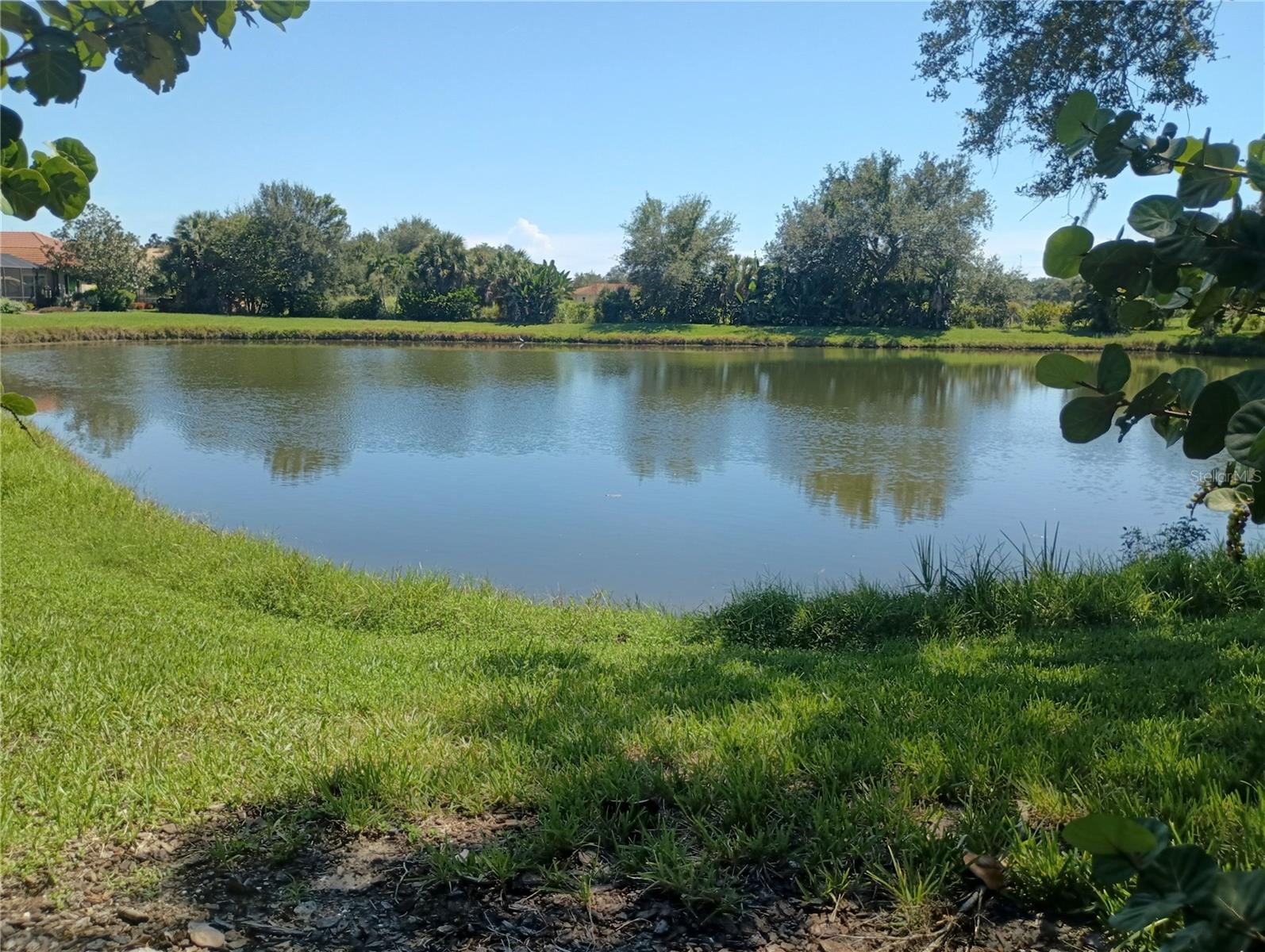 1328 THORNAPPLE DR — photo 42