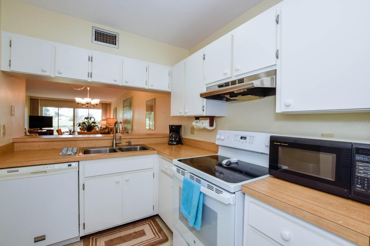 439 CERROMAR LN #310 — photo 13