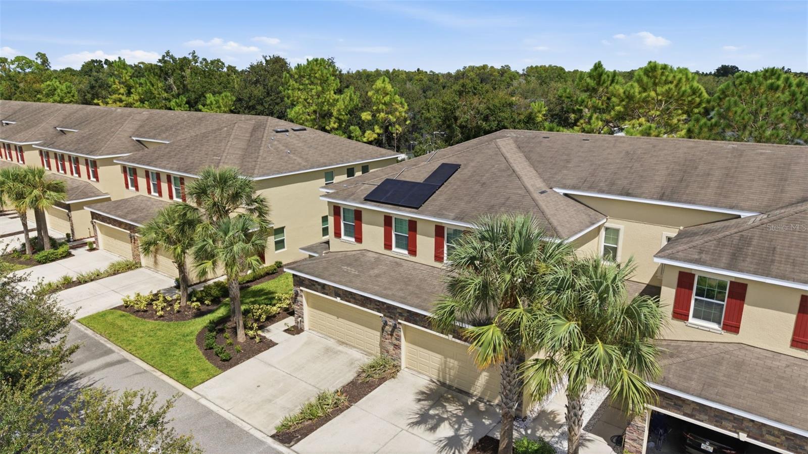 13219 CANOPY CREEK DR — photo 49