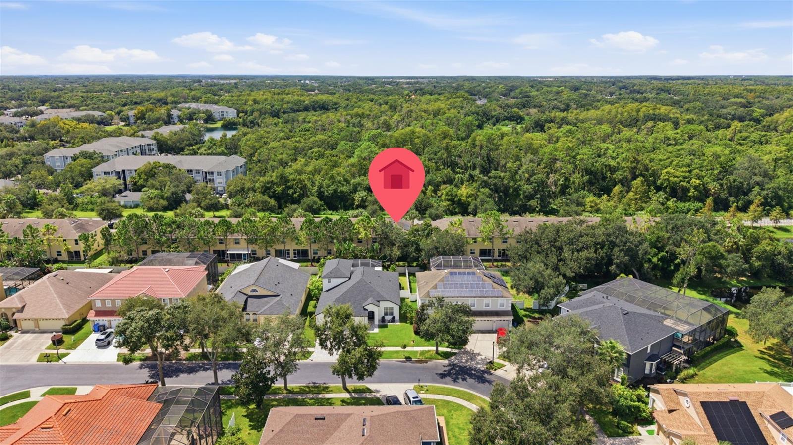 13219 CANOPY CREEK DR — photo 43