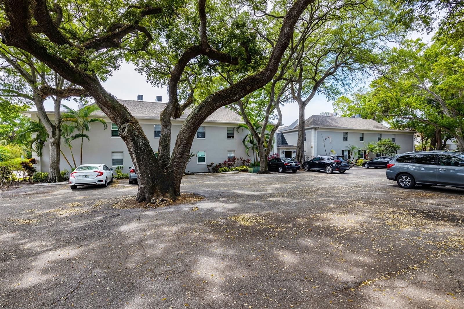 5221 BAYSHORE BLVD #31 — photo 4