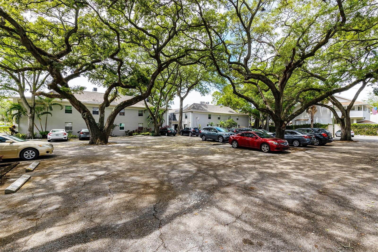 5221 BAYSHORE BLVD #31 — photo 30