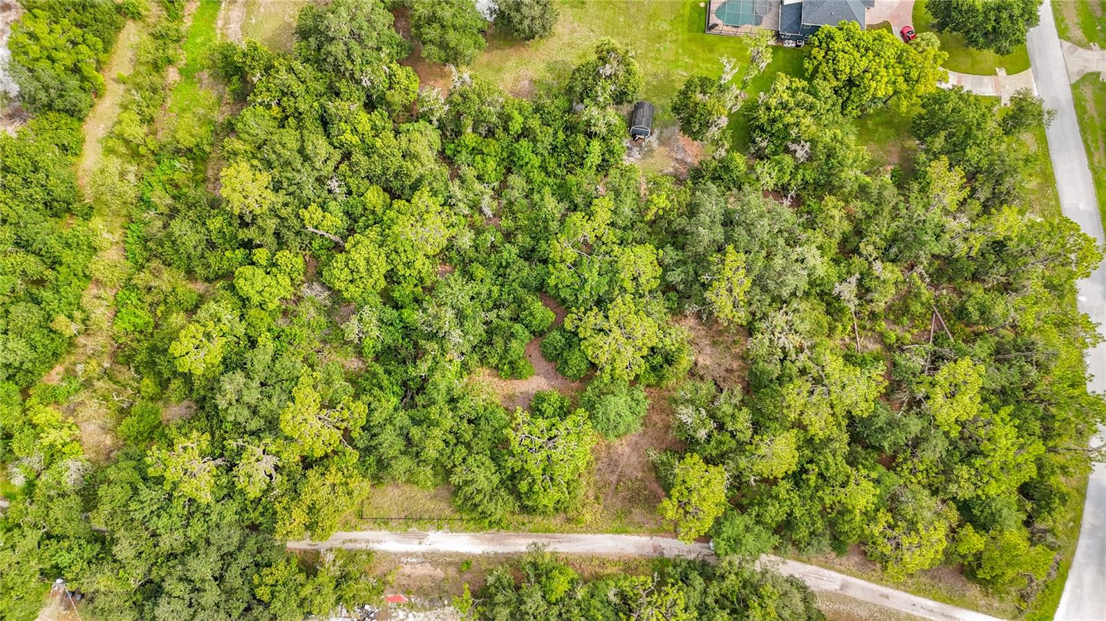 10623 LITHIA ESTATES DR — photo 10