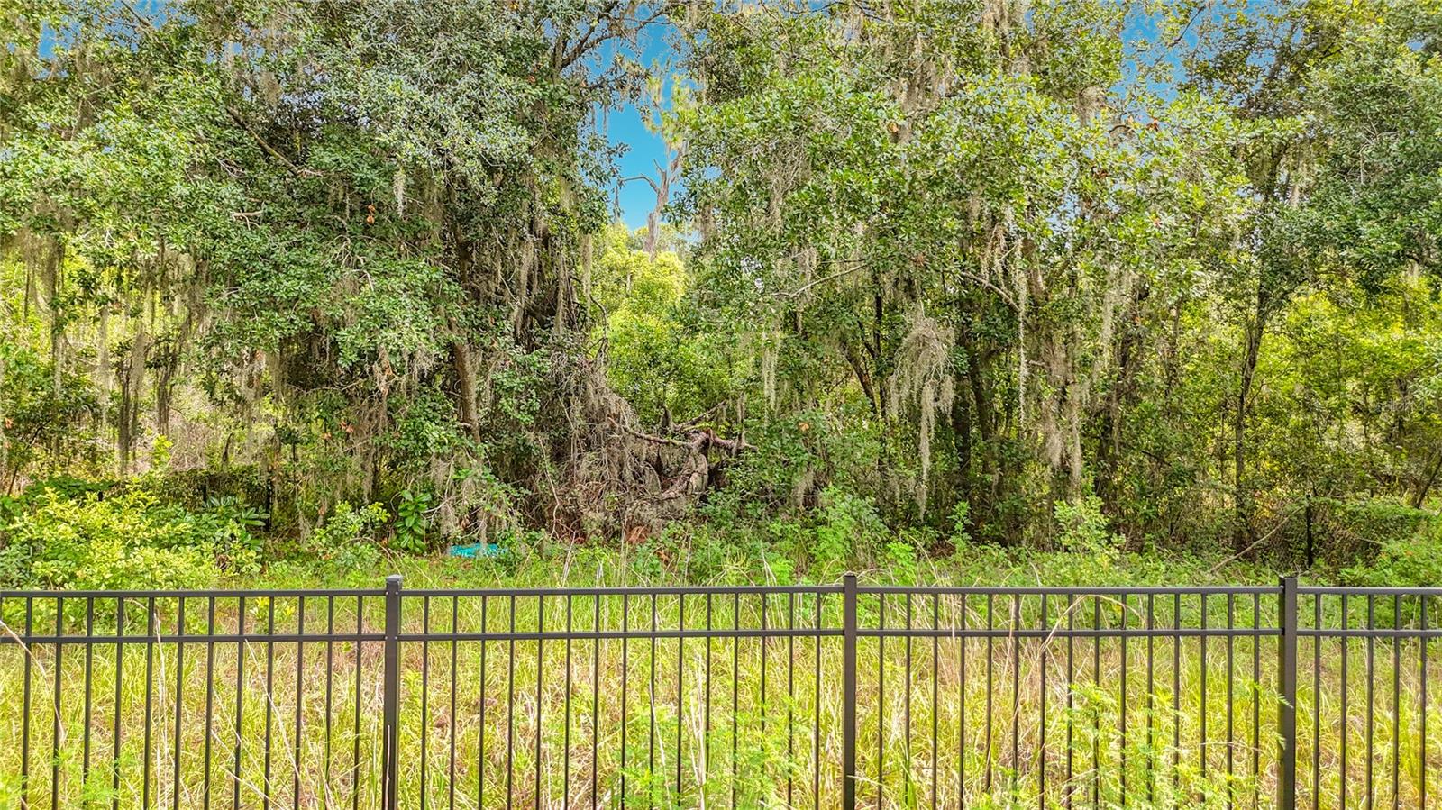 10623 LITHIA ESTATES DR — photo 8