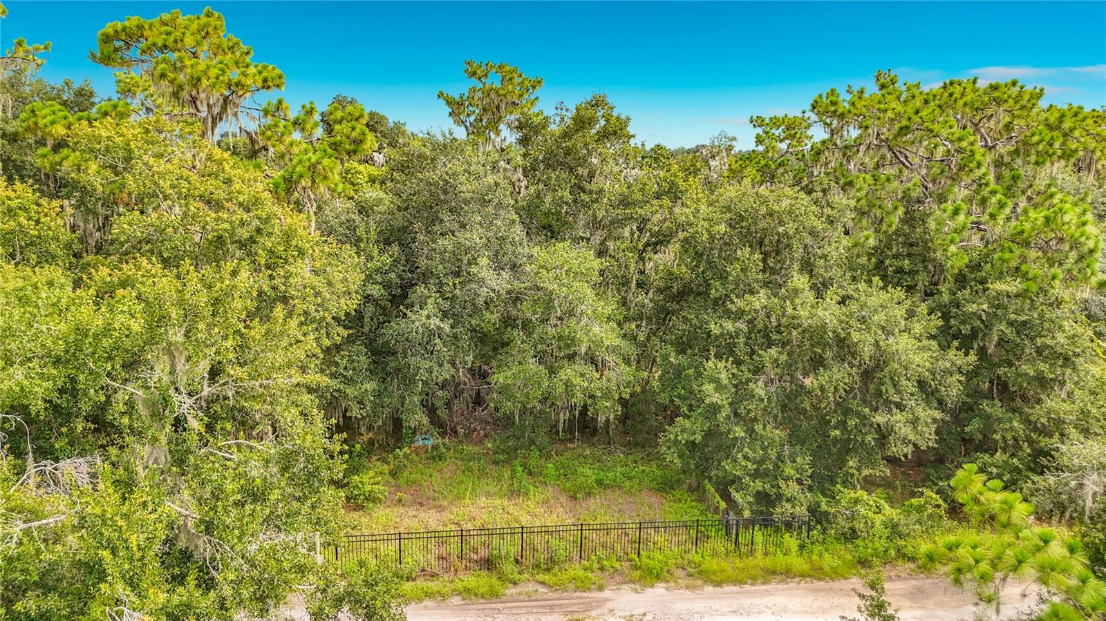 10623 LITHIA ESTATES DR — photo 17