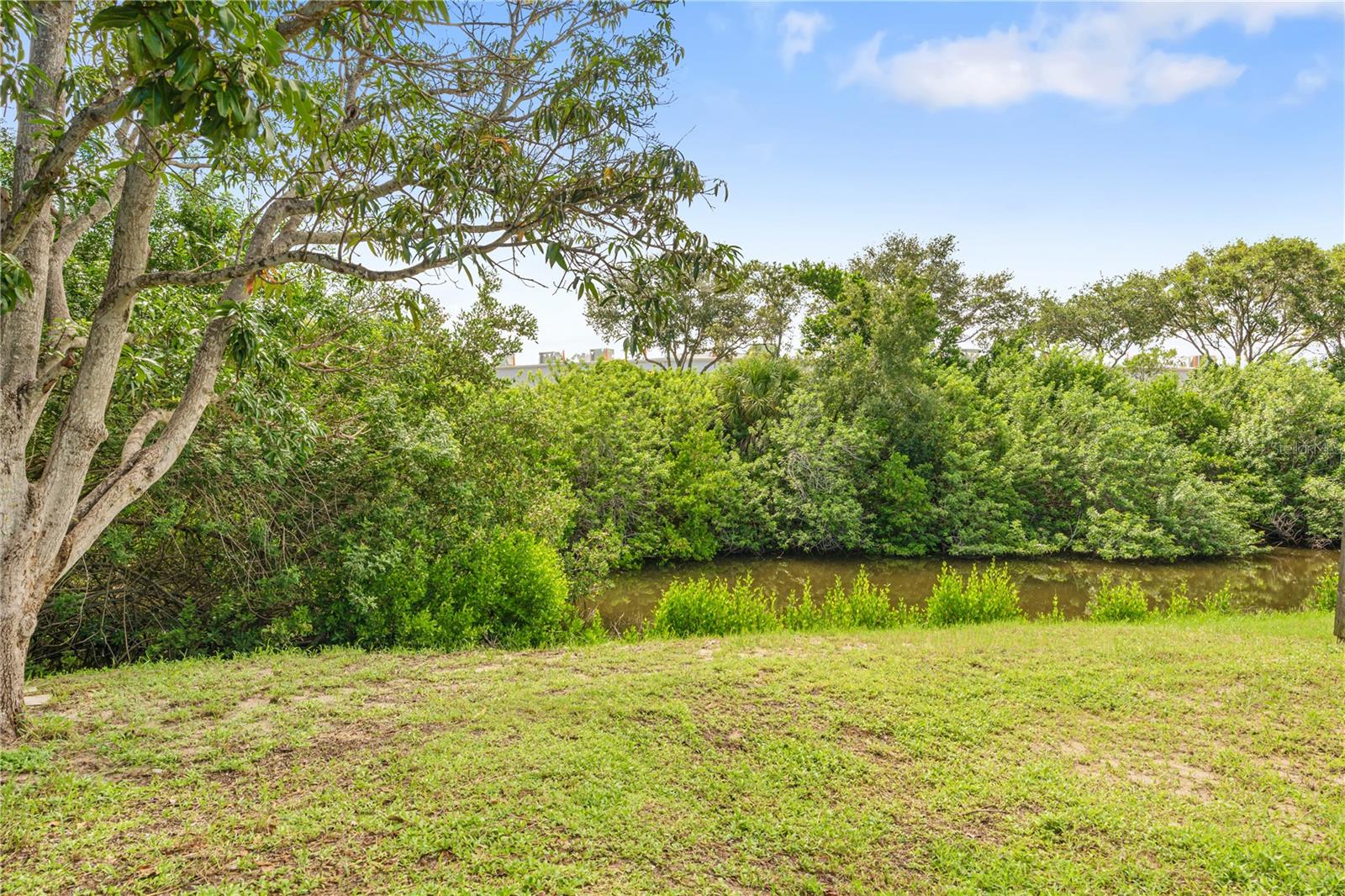 218 LOOKOUT DR — photo 30