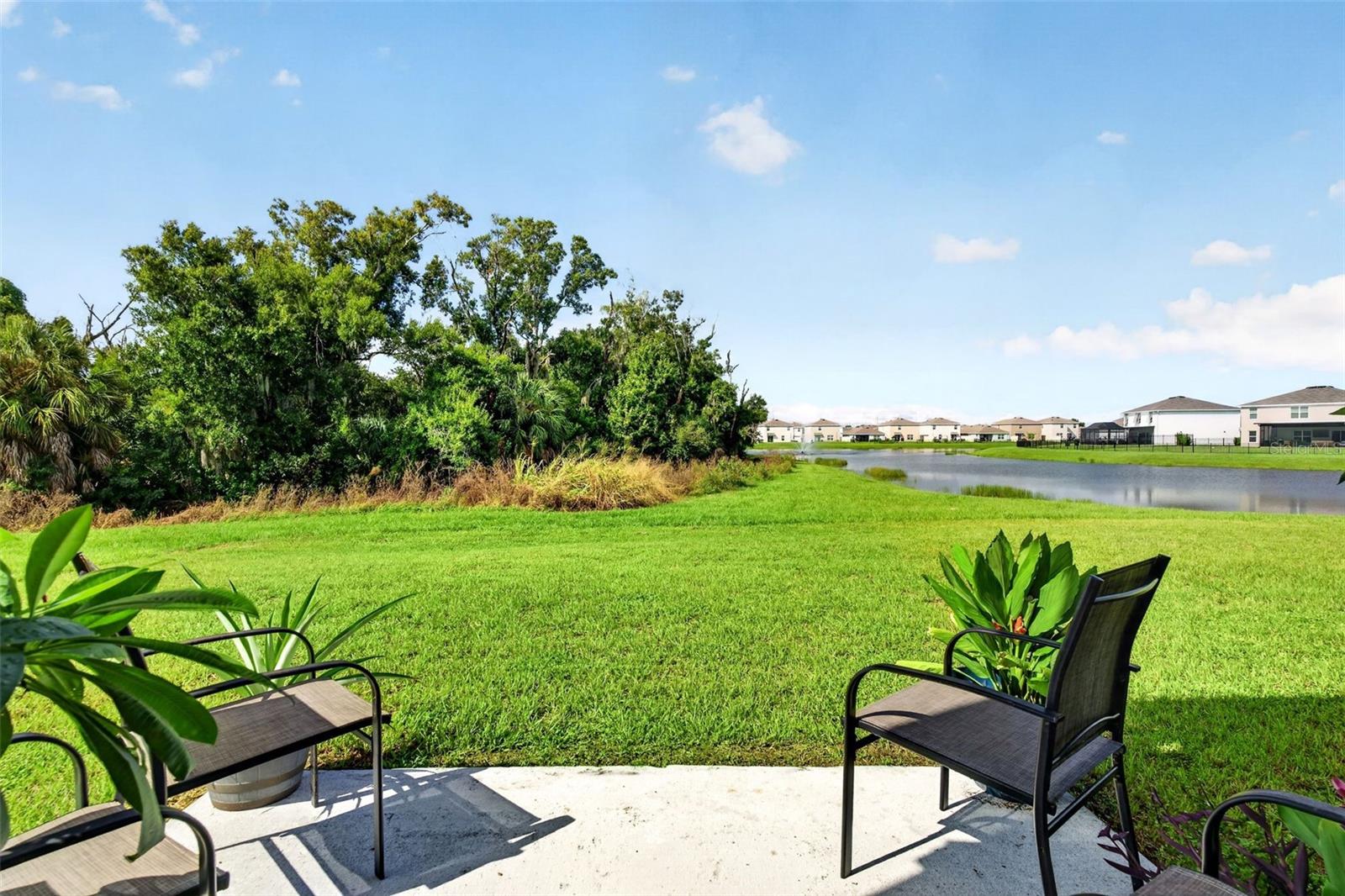 10137 CHARLOTTE DR — photo 41