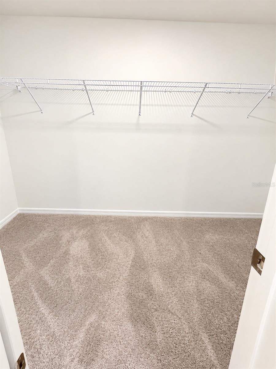 2234 RED CROSSBILL DR — photo 13