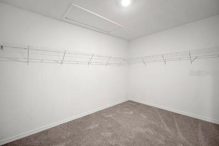 16649 CARLTON POND ST — photo 19