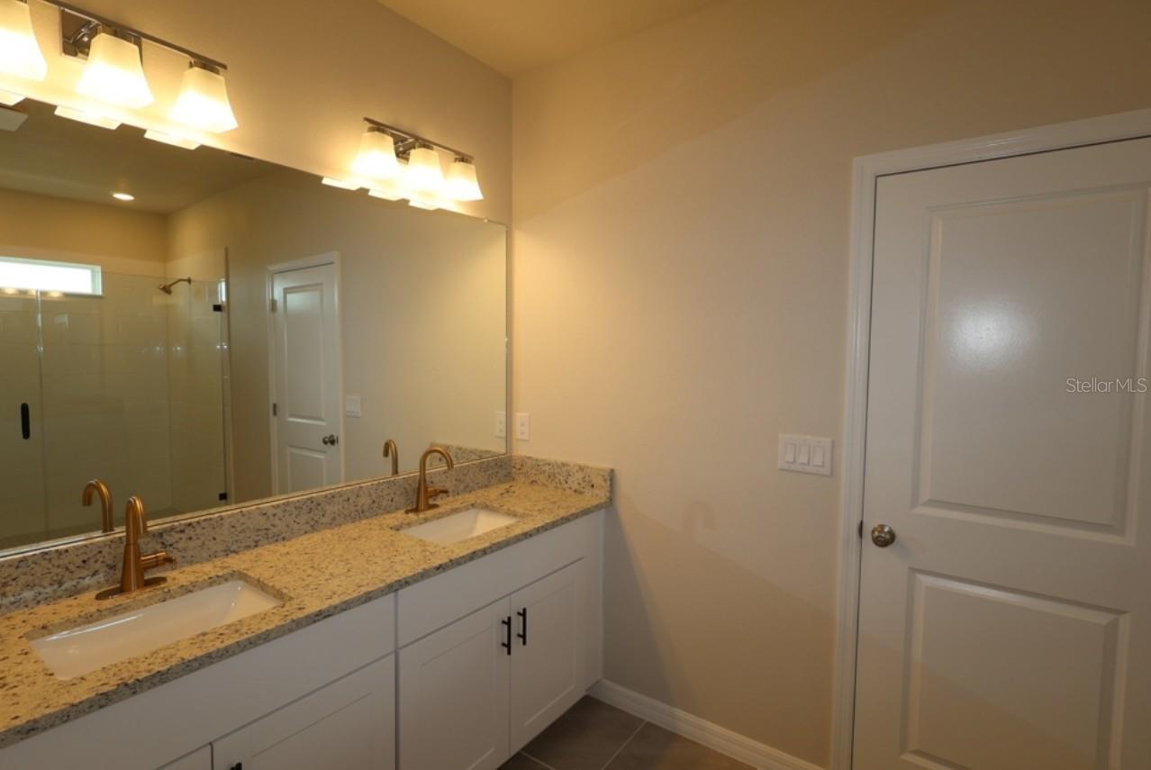 3528 CASPIAN CHERVIL ST — photo 13