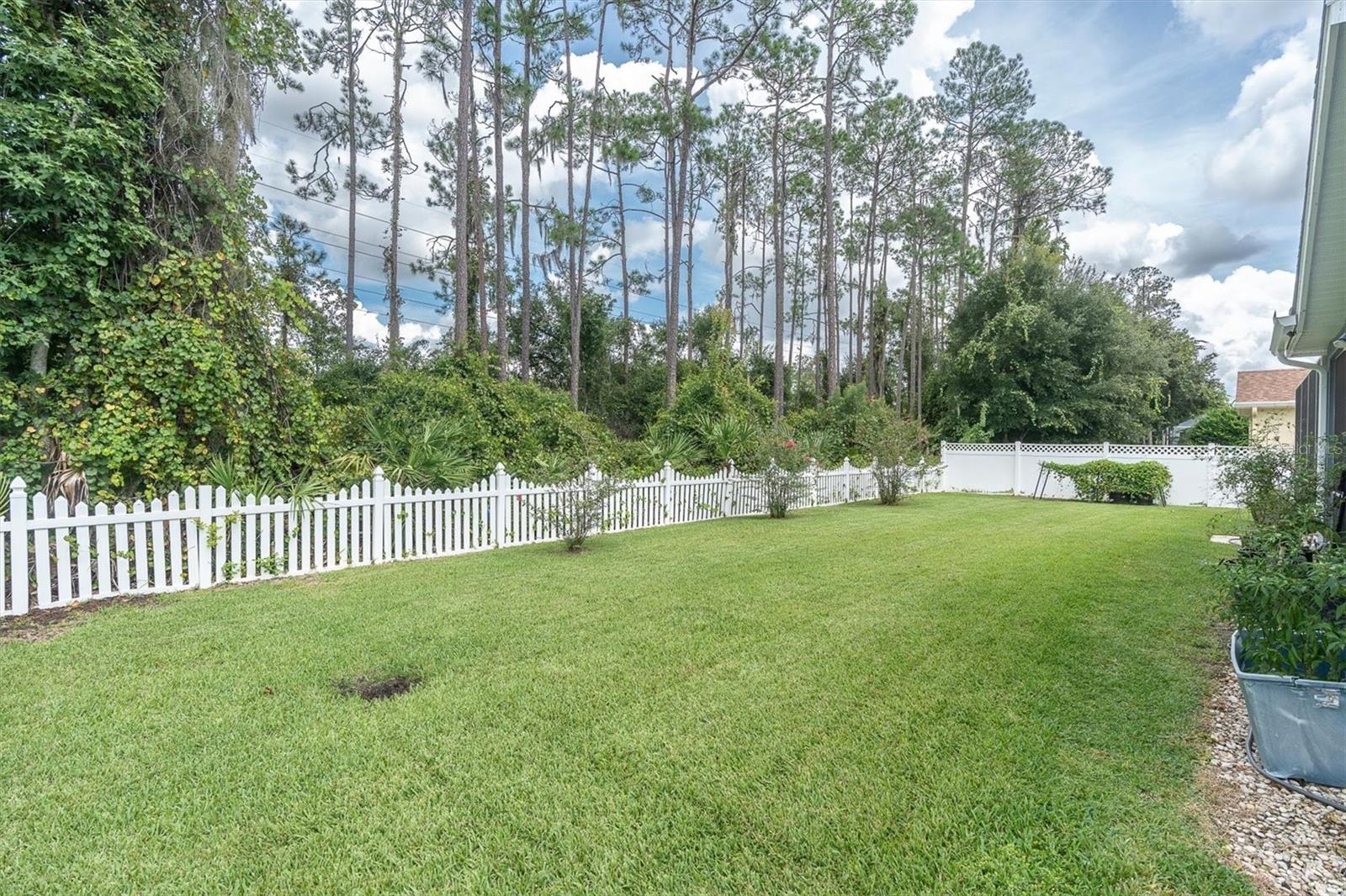 27027 BRUSH CREEK WAY — photo 54