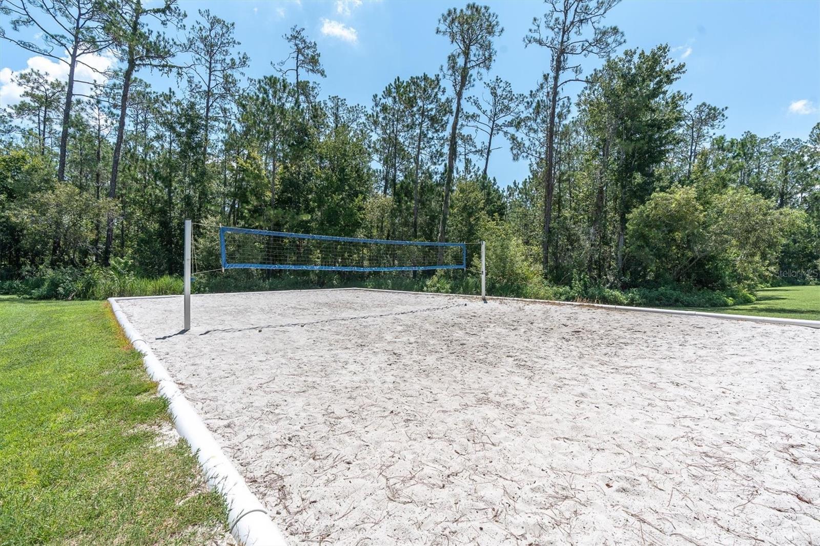 27027 BRUSH CREEK WAY — photo 62