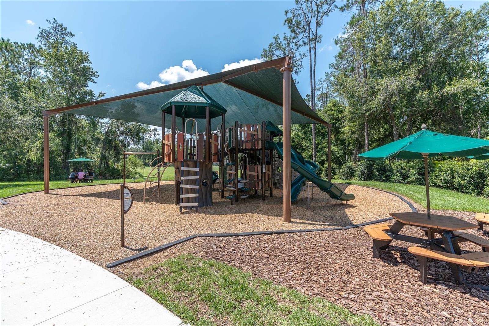 27027 BRUSH CREEK WAY — photo 61