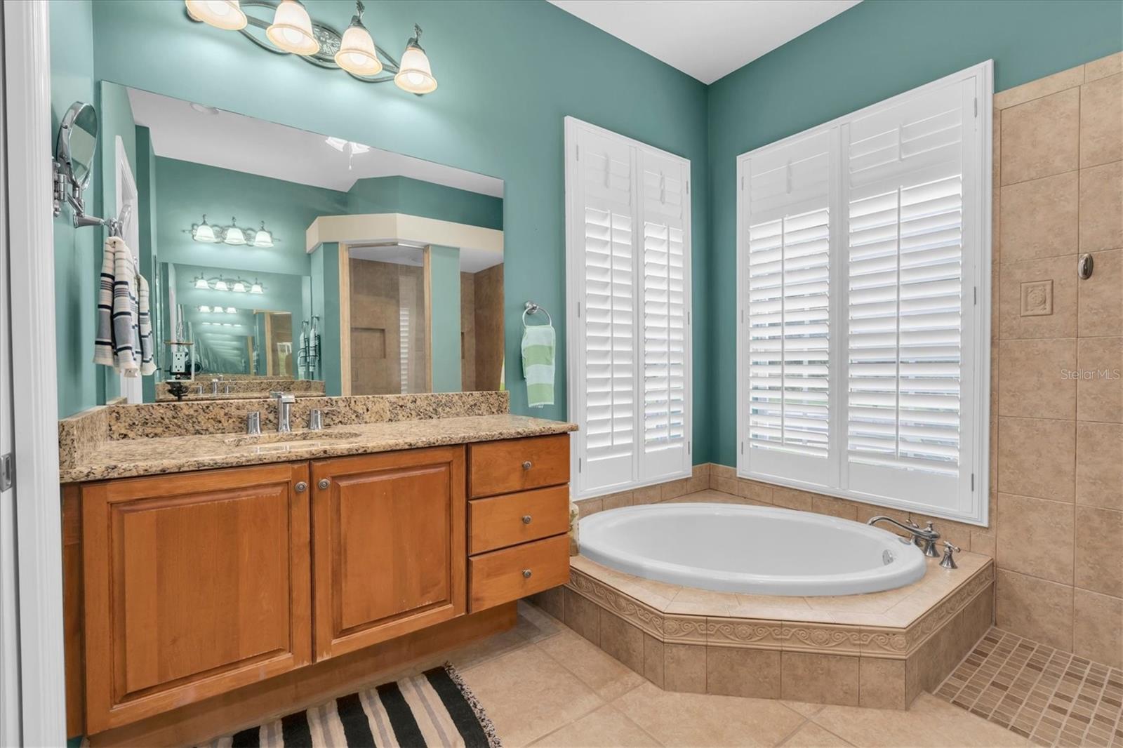 27027 BRUSH CREEK WAY — photo 33