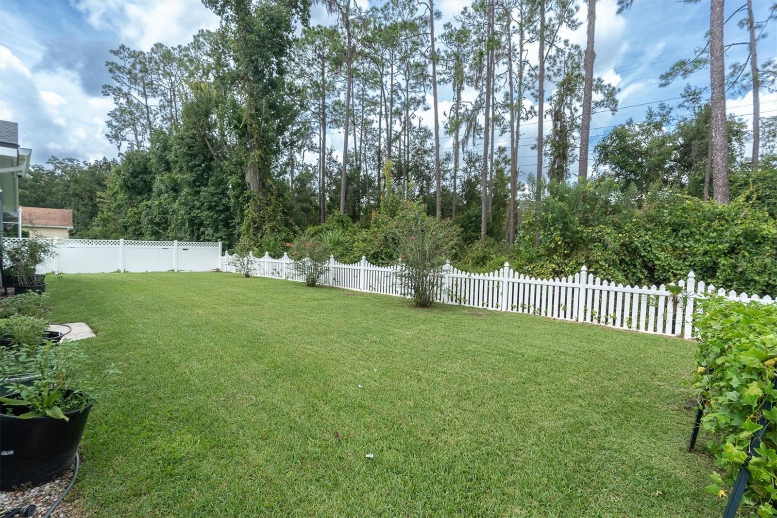 27027 BRUSH CREEK WAY — photo 7