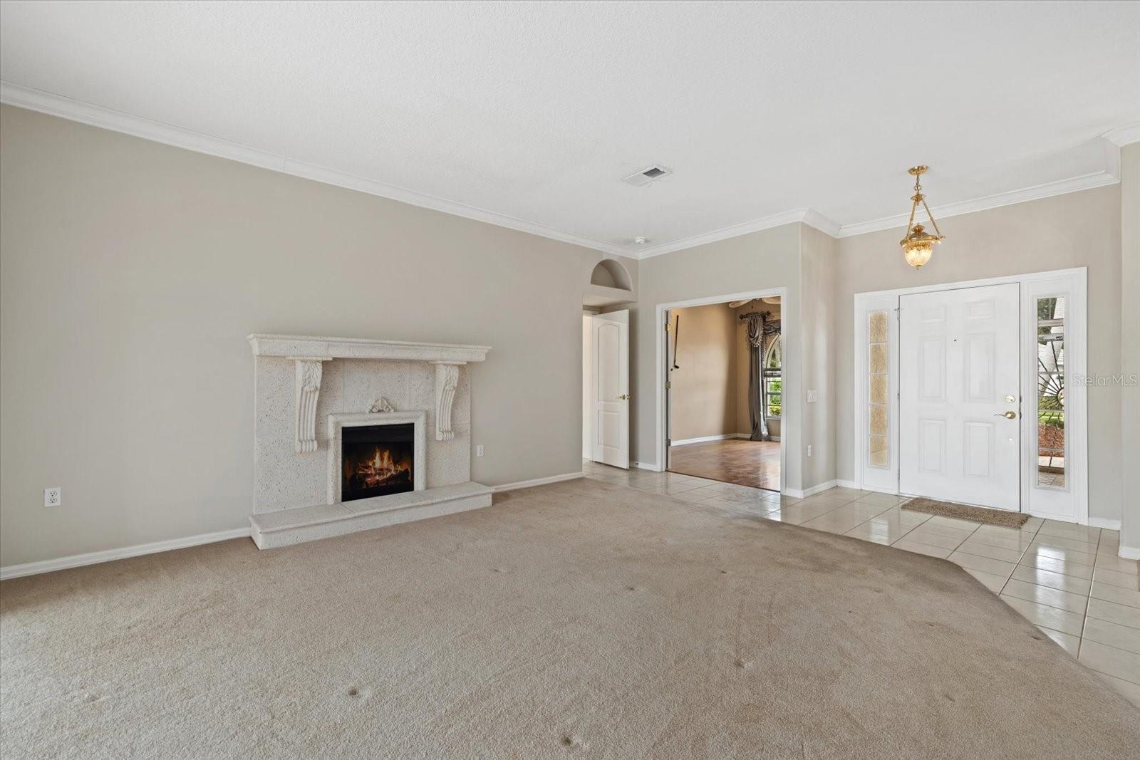 8967 GREY OAKS AVE — photo 5